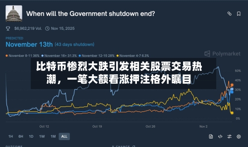 比特币惨烈大跌引发相关股票交易热潮,一笔大额看涨押注格外瞩目
