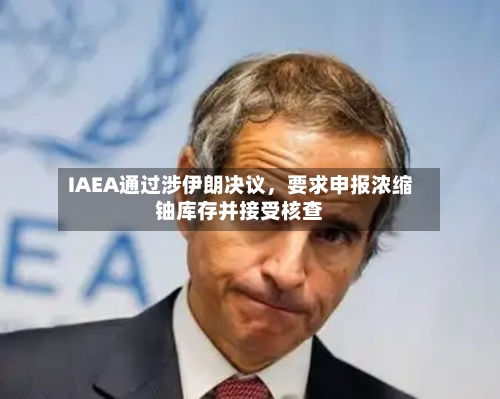 IAEA通过涉伊朗决议,要求申报浓缩铀库存并接受核查