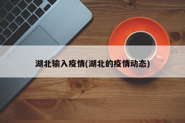 湖北输入疫情(湖北的疫情动态)